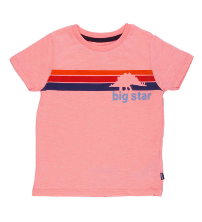 BIG STAR-MULTICOLOR STRIP-BOYS T SHIRT | PINK