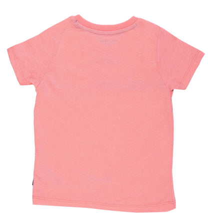 BIG STAR-MULTICOLOR STRIP-BOYS T SHIRT | PINK